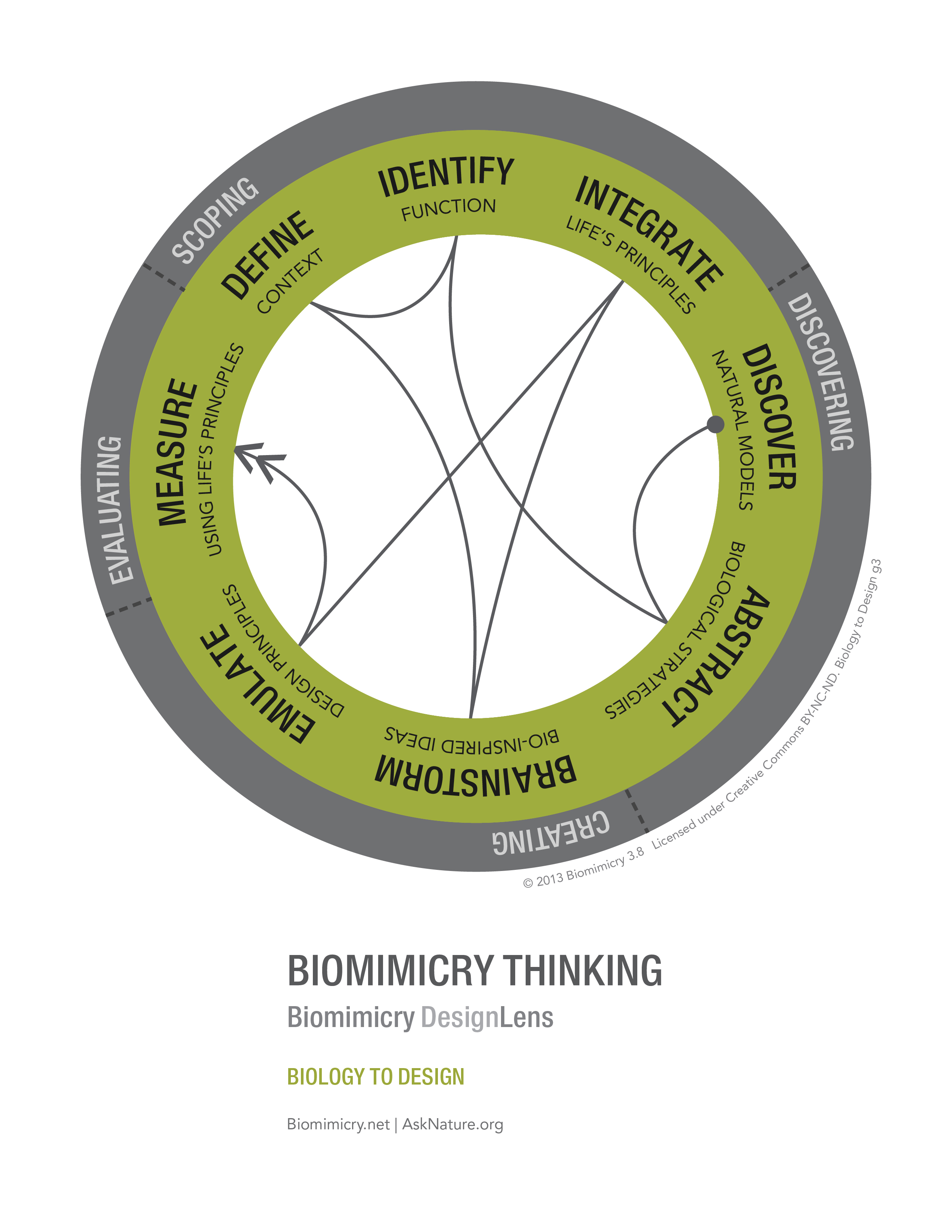 designlens_biology_to_design_web Biomimicry 3.8
