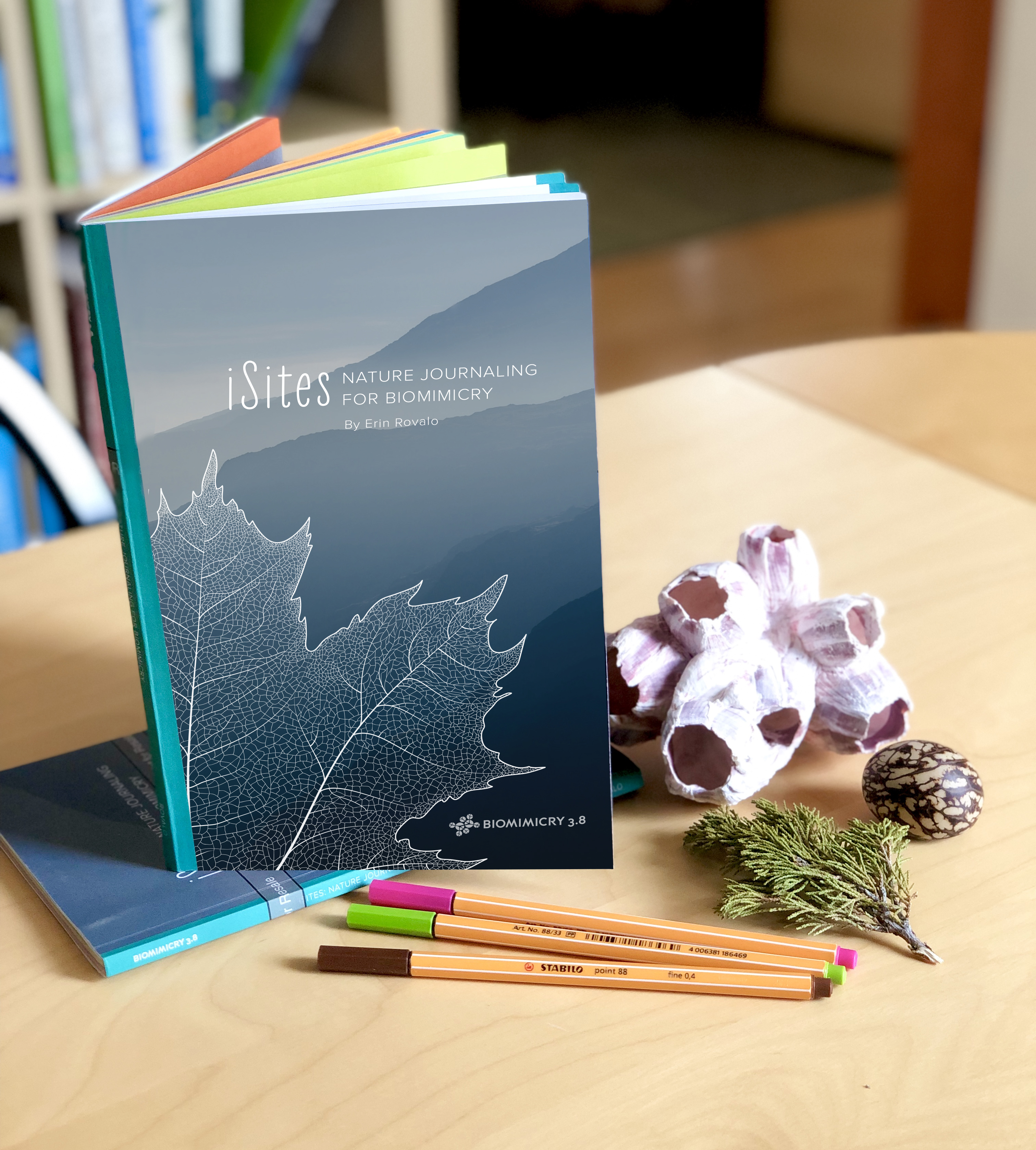 iSites: Nature Journaling for Biomimicry - Biomimicry 3.8